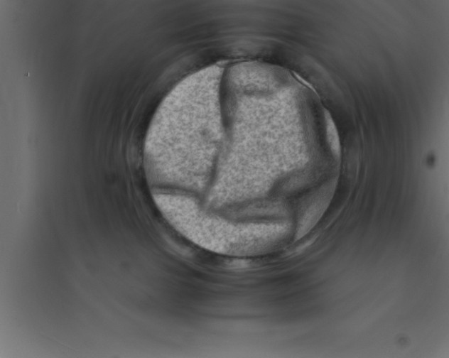 X0000094200091200711241647