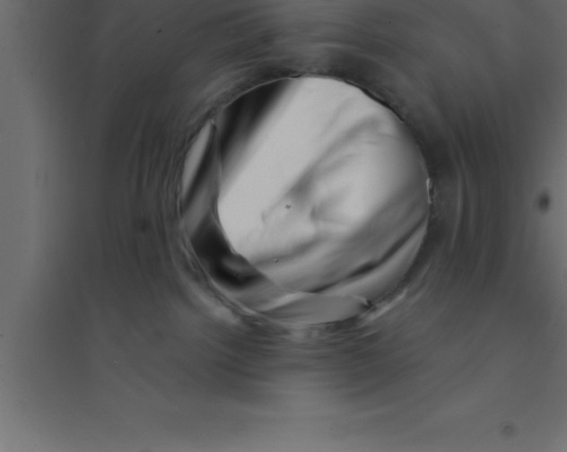 X0000094200092200711241647