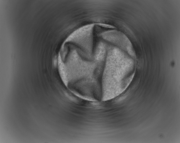 X0000094200095200711241647
