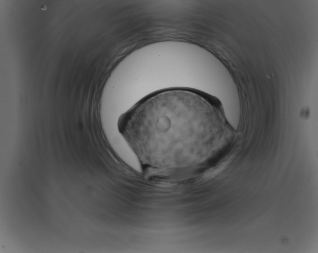 X0000094200096200711241647