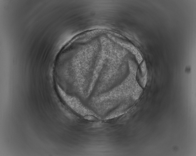 X0000094200098200711241646