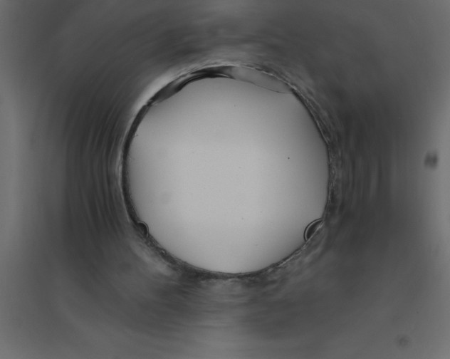 X0000094200100200711241646