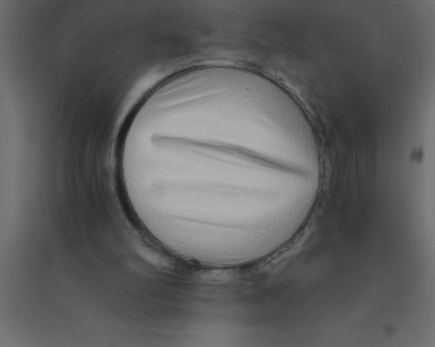 X0000094200102200711241646