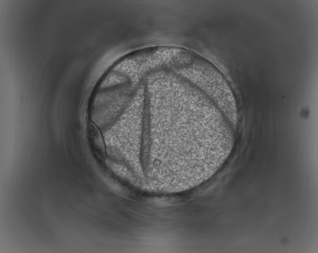 X0000094200103200711241646