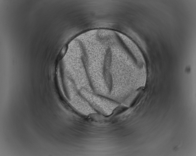 X0000094200107200711241646