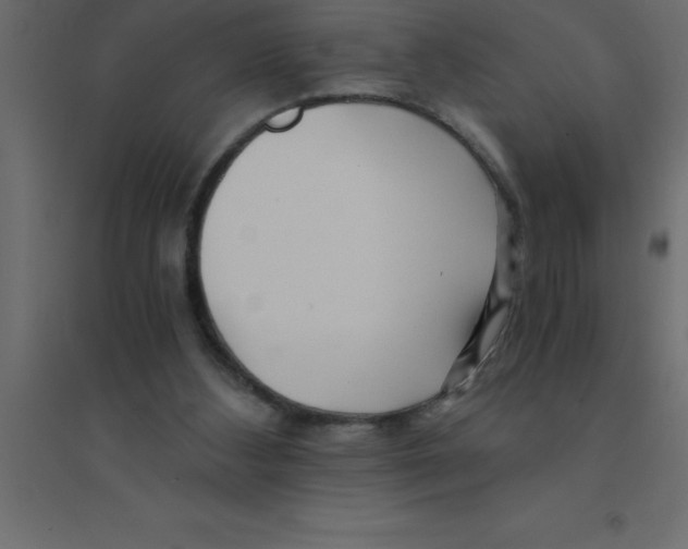 X0000094200108200711241646