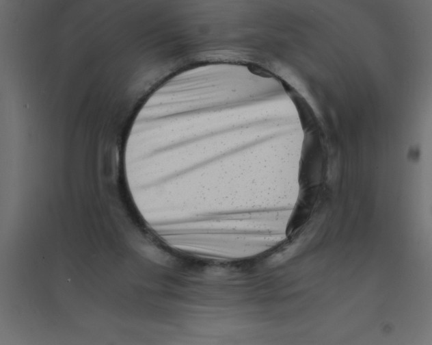 X0000094200109200711241646