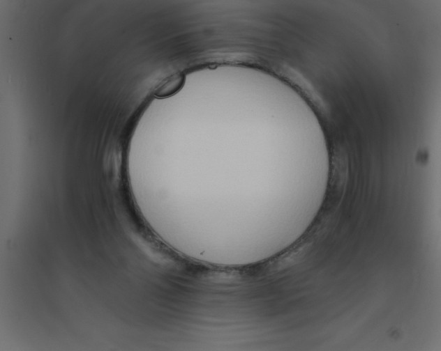 X0000094200110200711241646