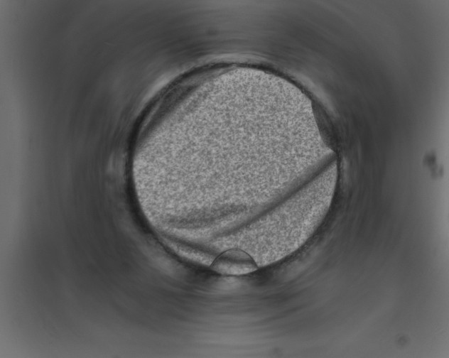 X0000094200111200711241646