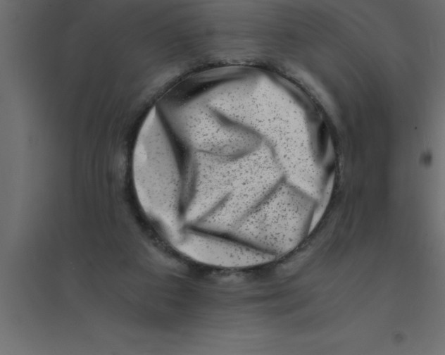 X0000094200113200711241646