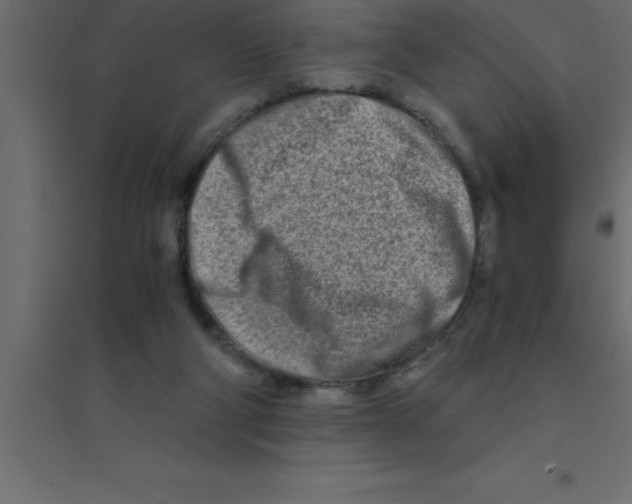 X0000094200114200711241646