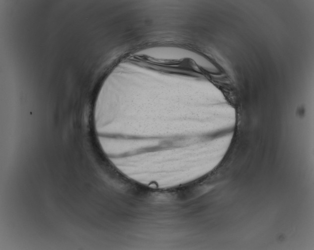 X0000094200115200711241646