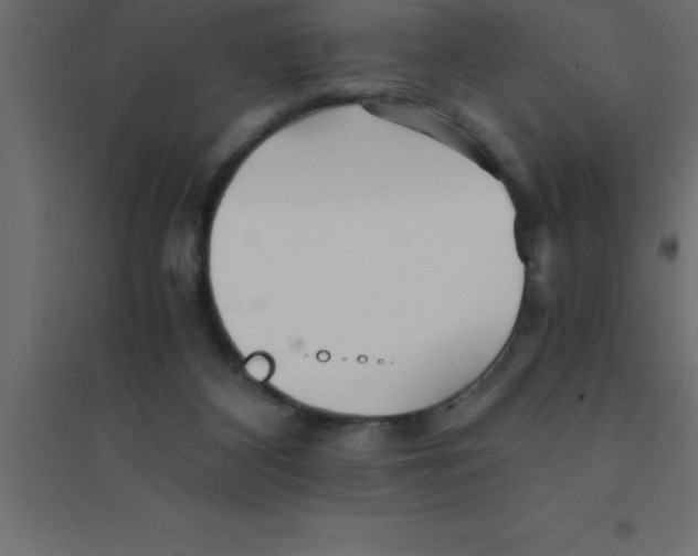 X0000094200116200711241646