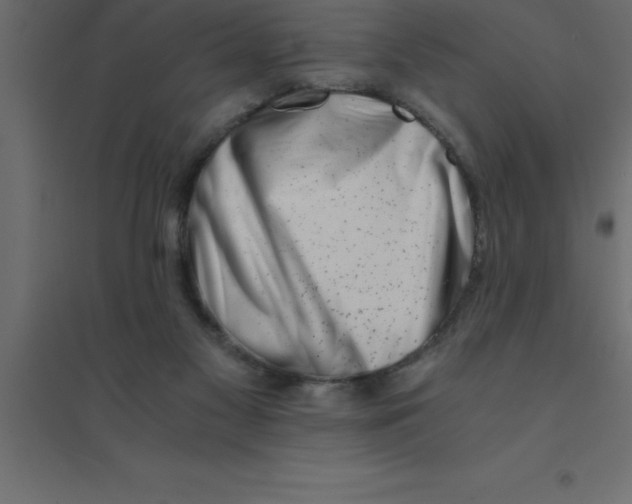 X0000094200117200711241646