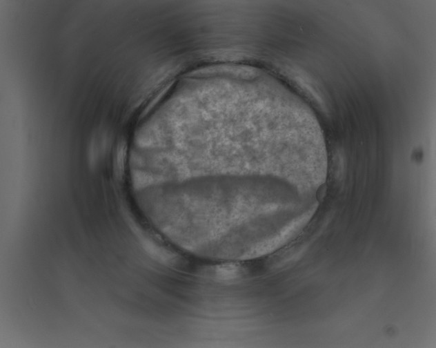 X0000094200118200711241646