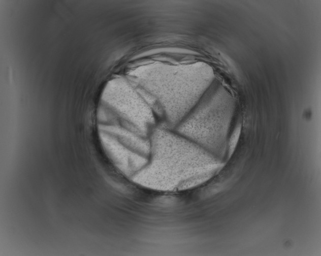 X0000094200119200711241646