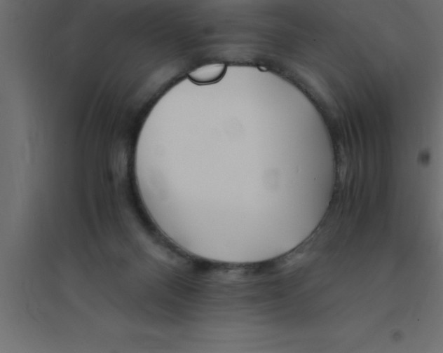 X0000094200120200711241646