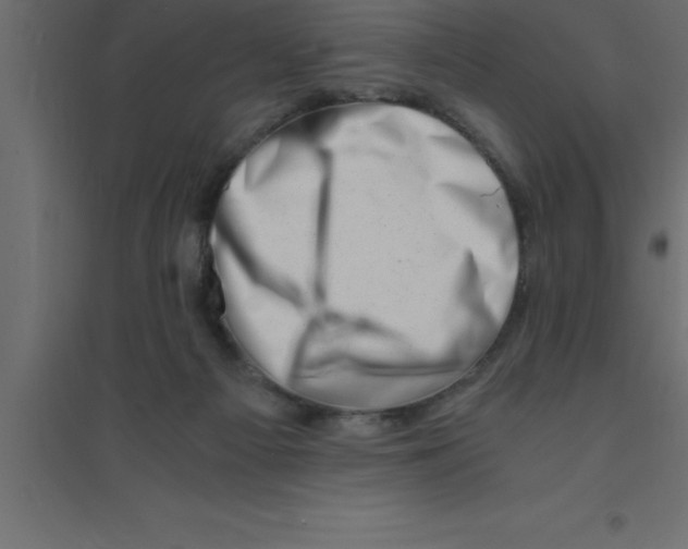 X0000094200121200711241646