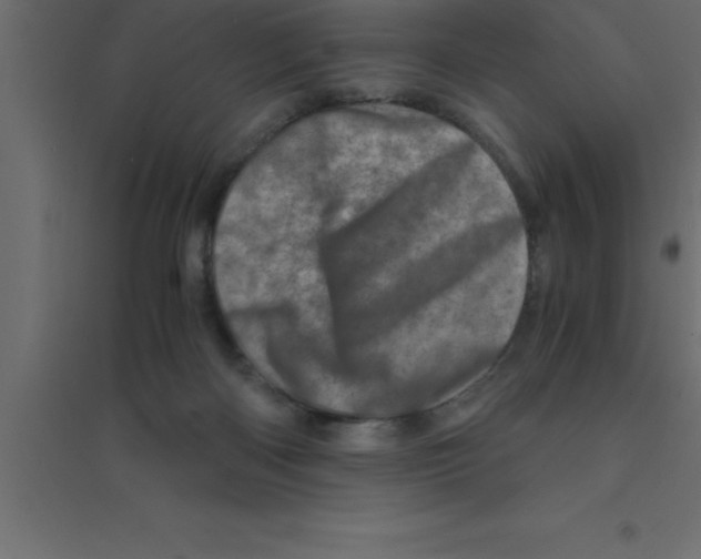 X0000094200122200711241646