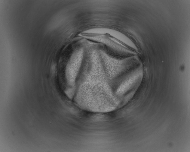 X0000094200123200711241646