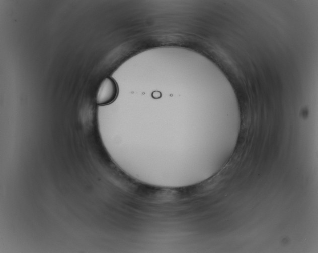 X0000094200124200711241646