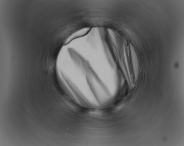 X0000094200125200711241646