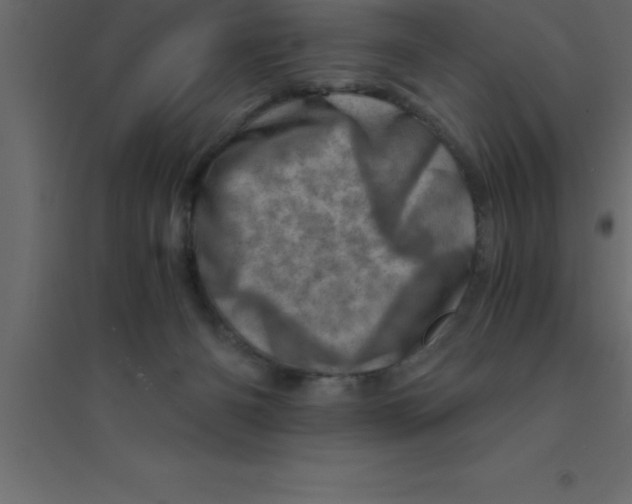 X0000094200126200711241646
