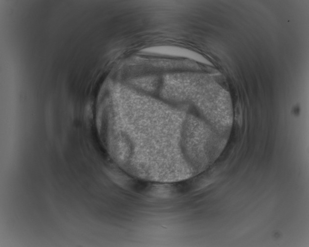 X0000094200127200711241646