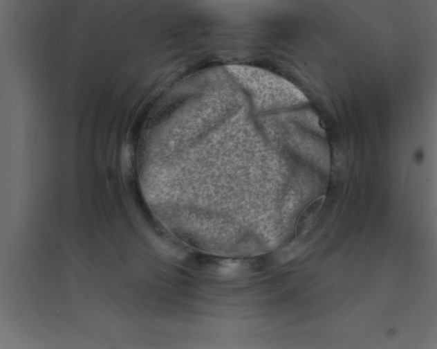 X0000094200130200711241646