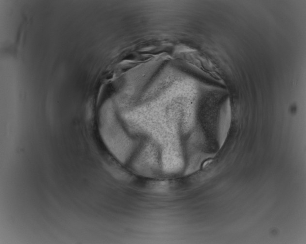 X0000094200131200711241646