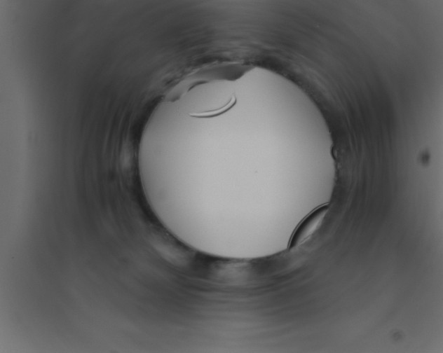 X0000094200132200711241646