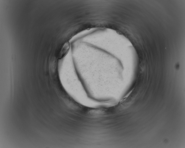 X0000094200133200711241646