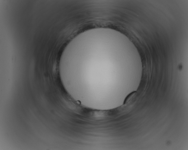X0000094200134200711241646