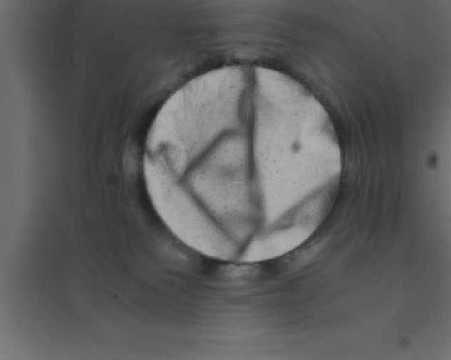 X0000094200135200711241645