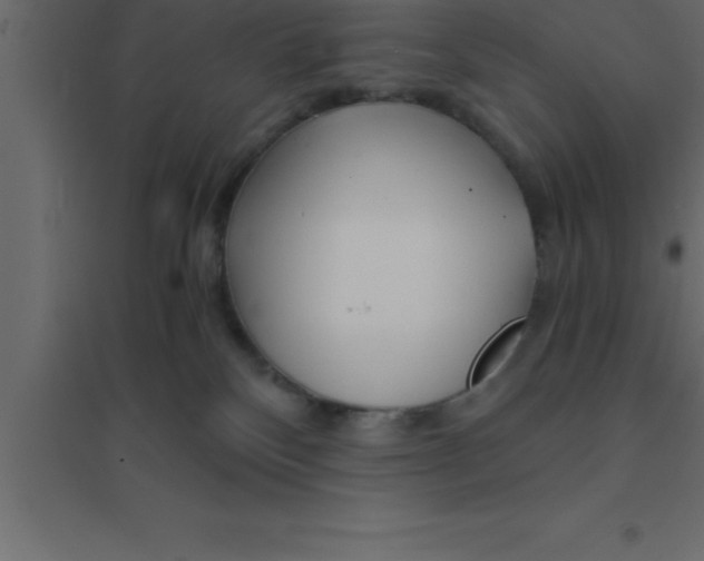 X0000094200136200711241645