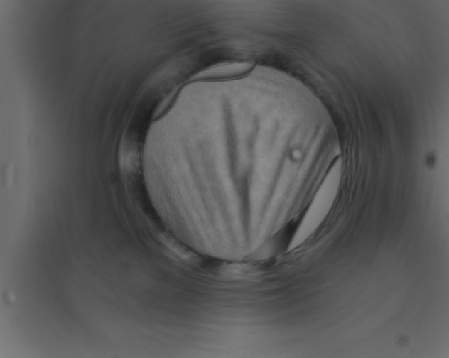 X0000094200137200711241645