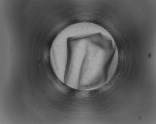 X0000094200138200711241645