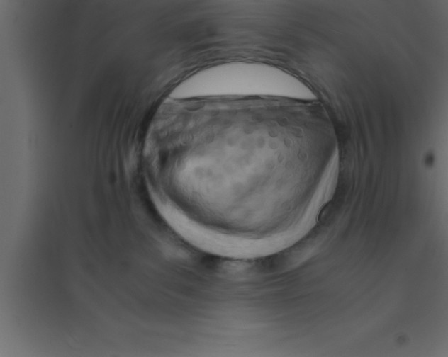 X0000094200139200711241645