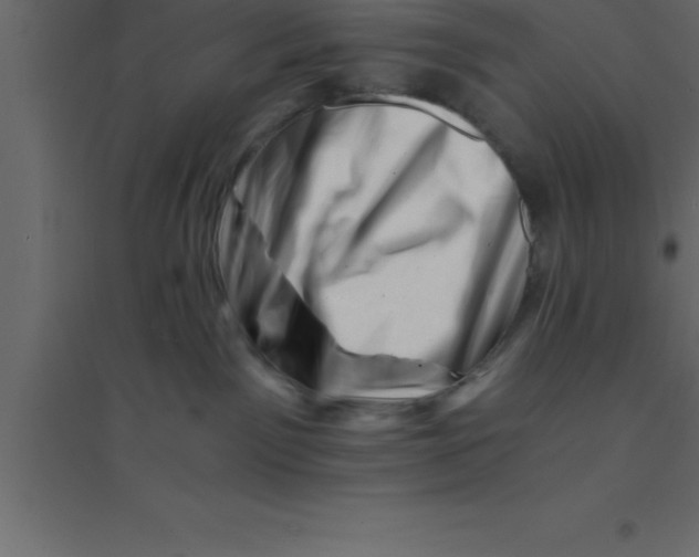 X0000094200141200711241645