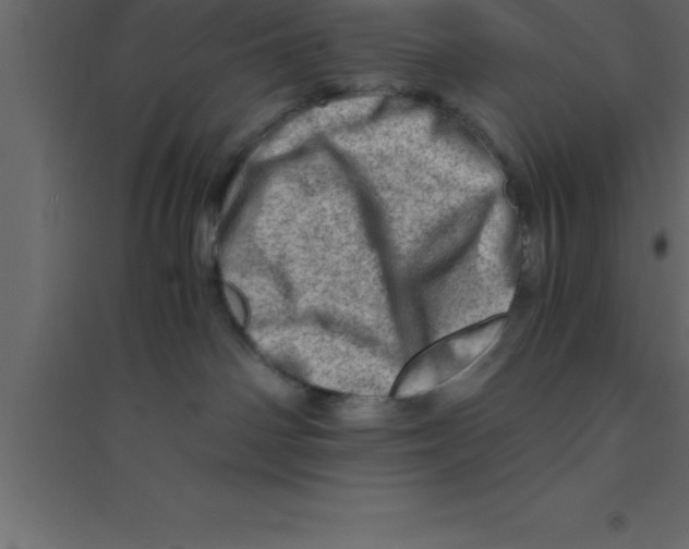 X0000094200142200711241645