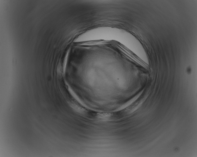 X0000094200143200711241645