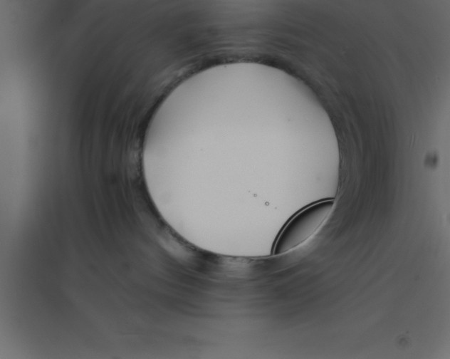 X0000094200144200711241645