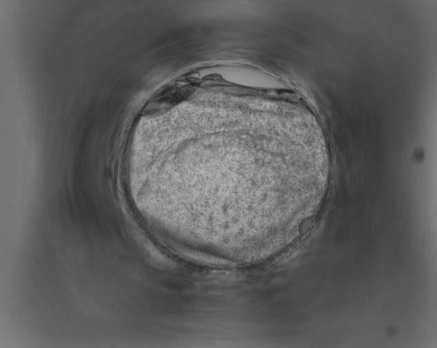 X0000094200145200711241645