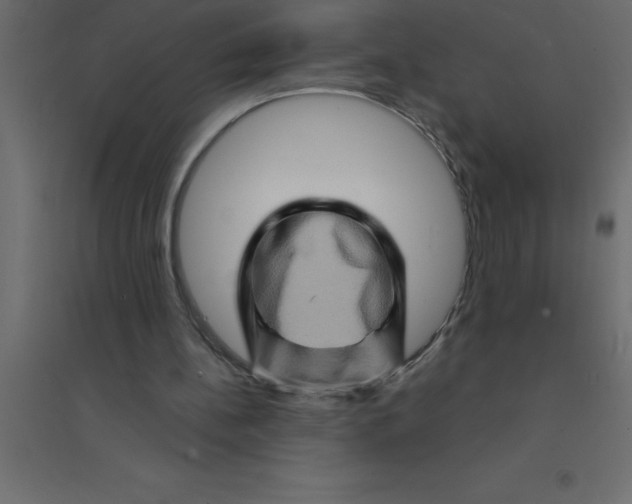 X0000094200148200711241645
