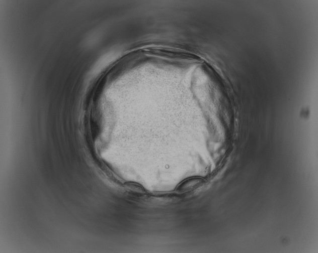 X0000094200149200711241645