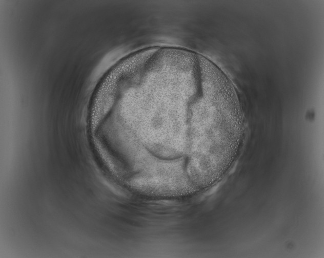 X0000094200151200711241645
