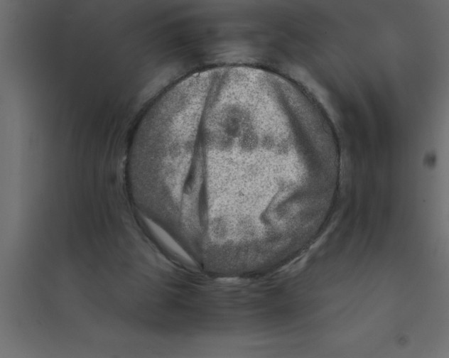X0000094200153200711241645
