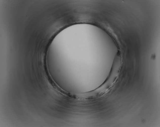 X0000094200154200711241645