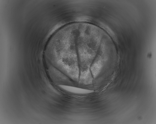 X0000094200155200711241645