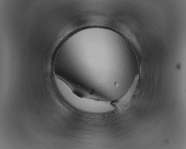 X0000094200156200711241645
